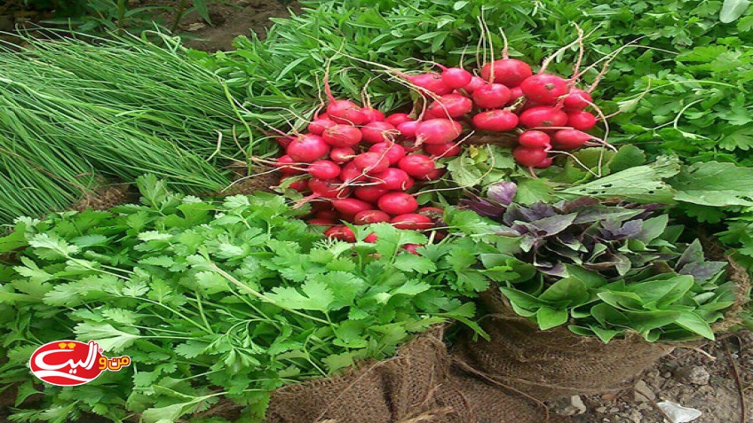 آشنایی با خواص سبزی خوردن